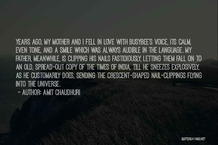 Amit Chaudhuri Quotes 153468