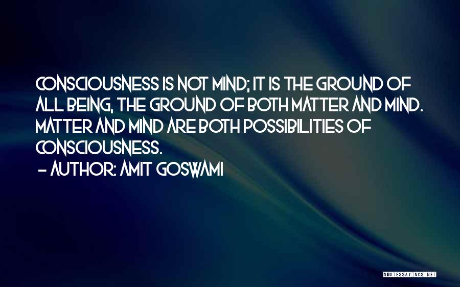 Amit Goswami Quotes 246010