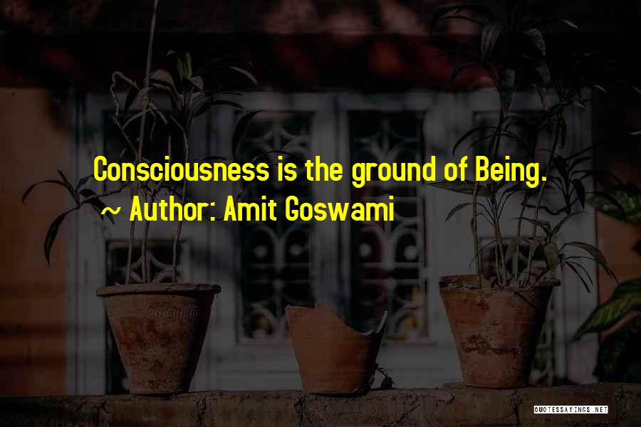 Amit Goswami Quotes 273255