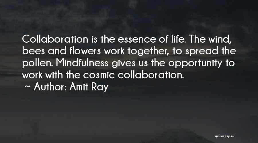 Amit Ray Quotes 1095571