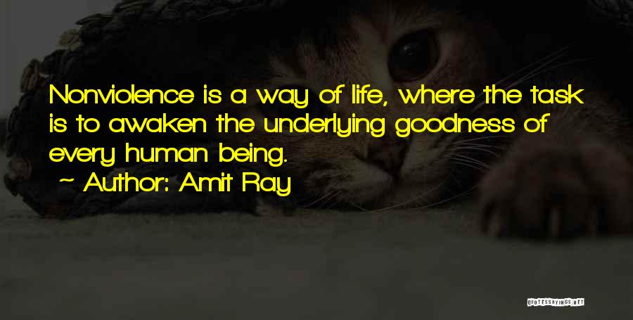 Amit Ray Quotes 270246