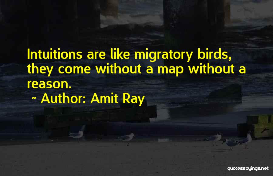 Amit Ray Quotes 732370