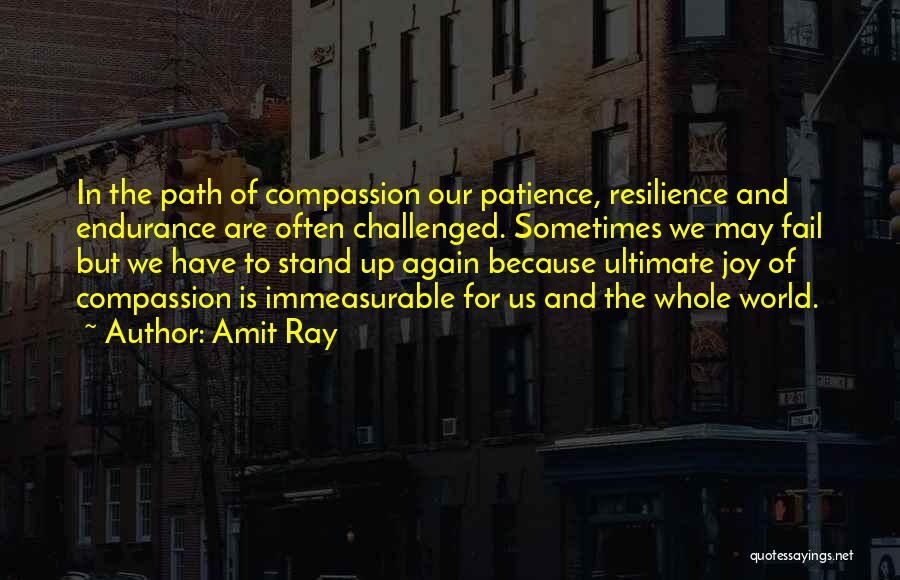 Amit Ray Quotes 732434