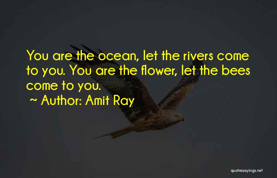 Amit Ray Quotes 747226