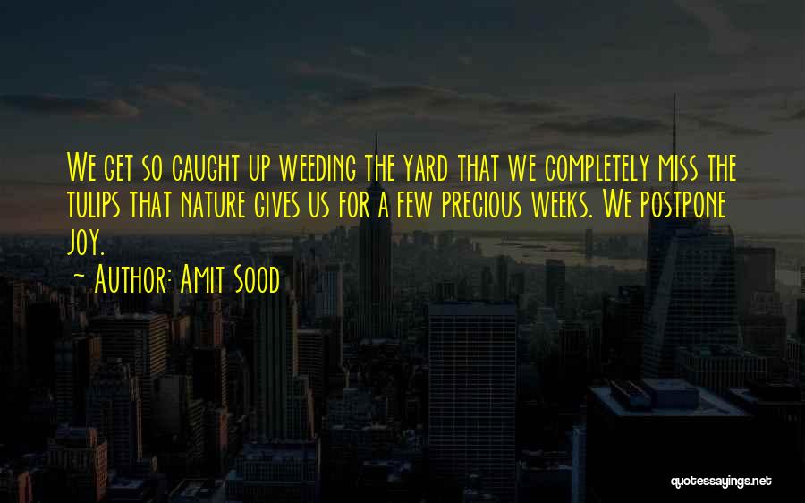 Amit Sood Quotes 613168