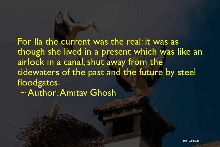 Amitav Ghosh Quotes 1014298