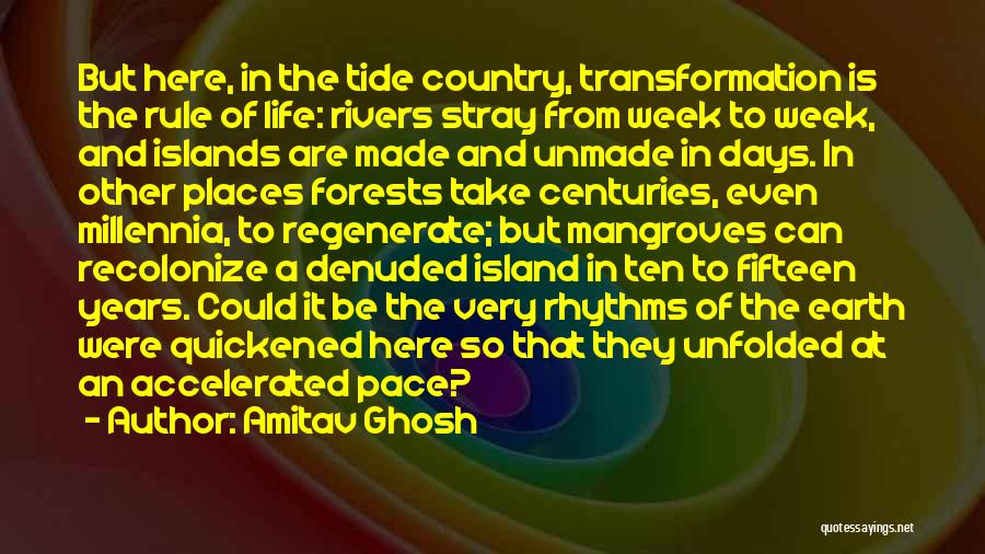 Amitav Ghosh Quotes 1411922