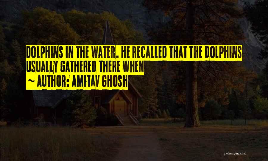 Amitav Ghosh Quotes 1529910