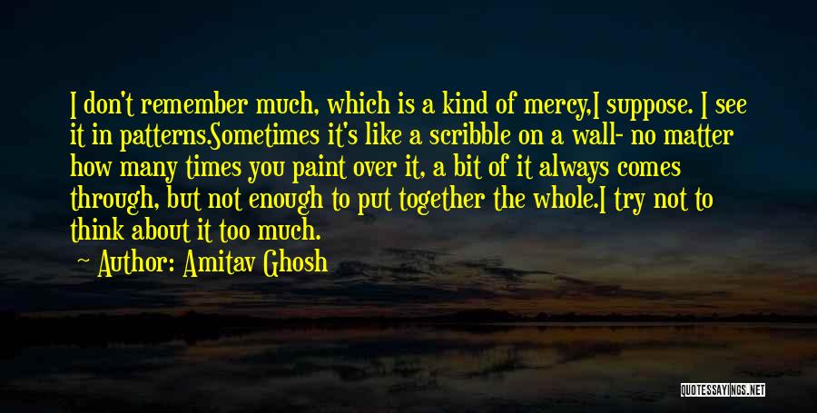 Amitav Ghosh Quotes 1717006