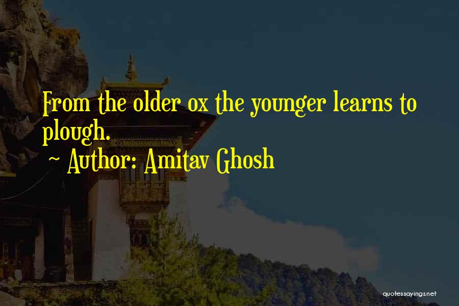 Amitav Ghosh Quotes 1732852