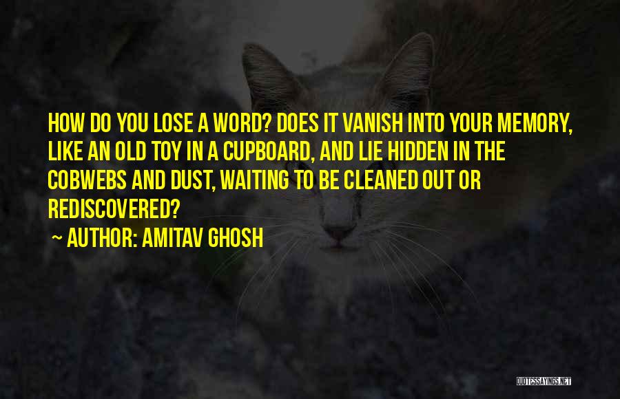 Amitav Ghosh Quotes 1876620