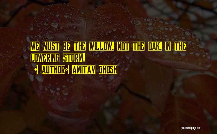 Amitav Ghosh Quotes 2123264