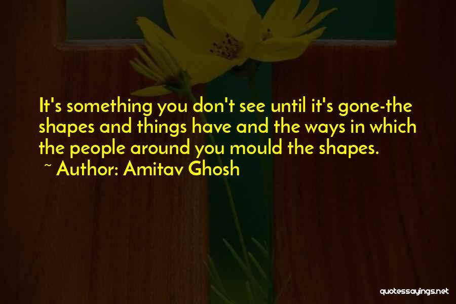 Amitav Ghosh Quotes 2238650