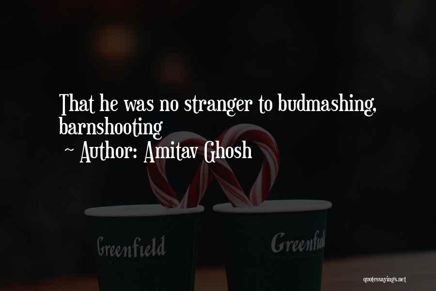 Amitav Ghosh Quotes 376371