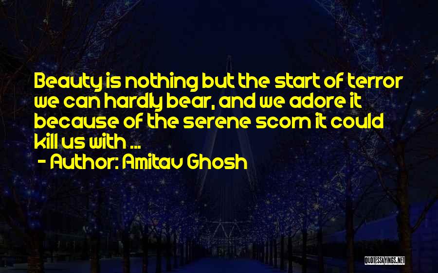 Amitav Ghosh Quotes 462312