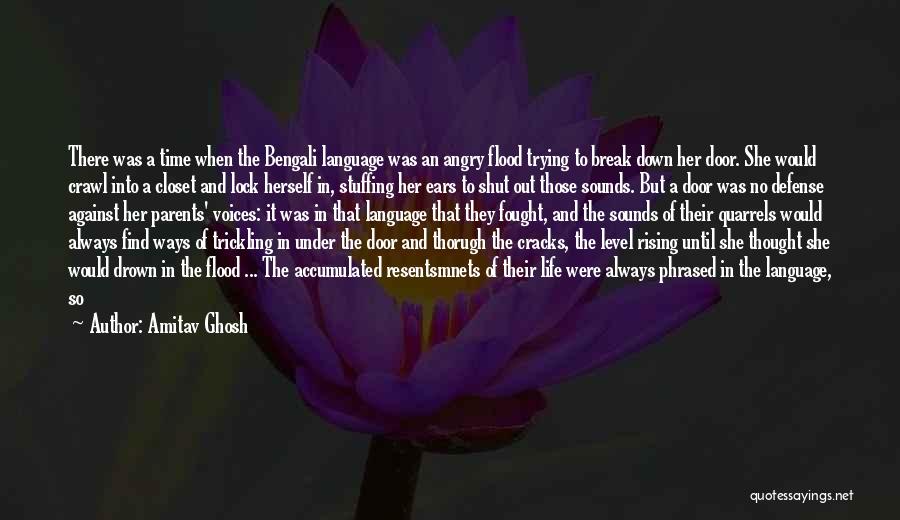 Amitav Ghosh Quotes 752275