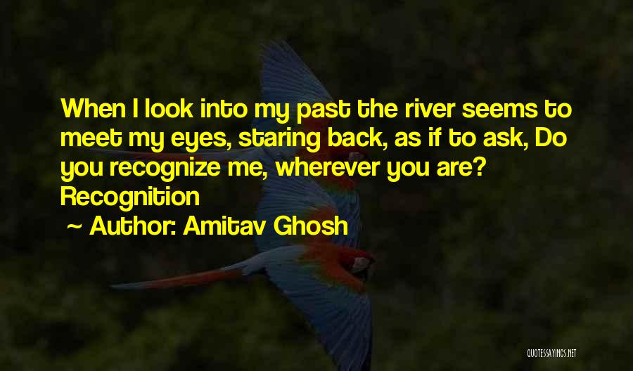 Amitav Ghosh Quotes 784622