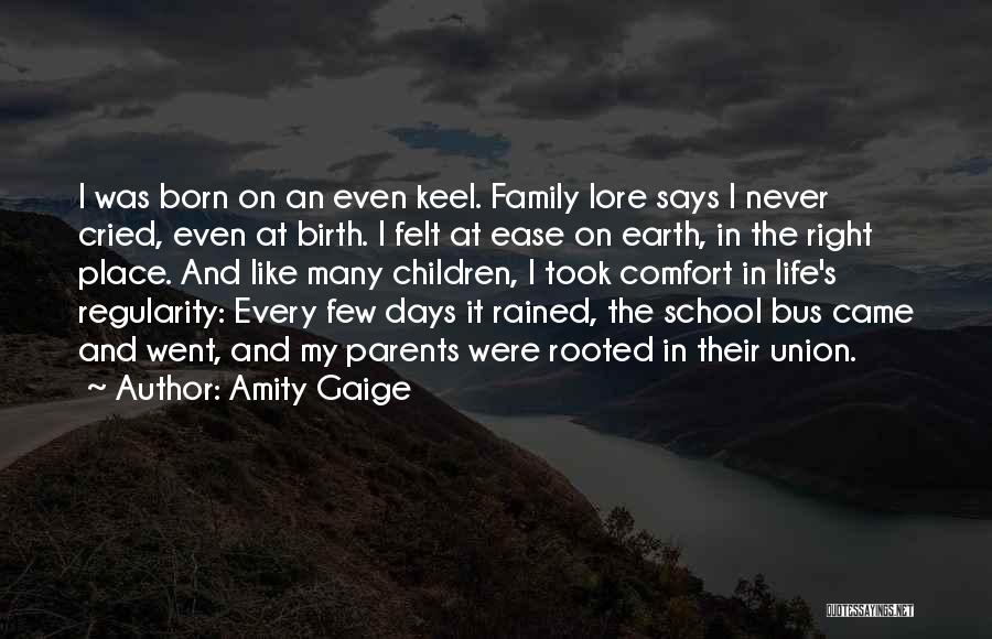 Amity Gaige Quotes 106293