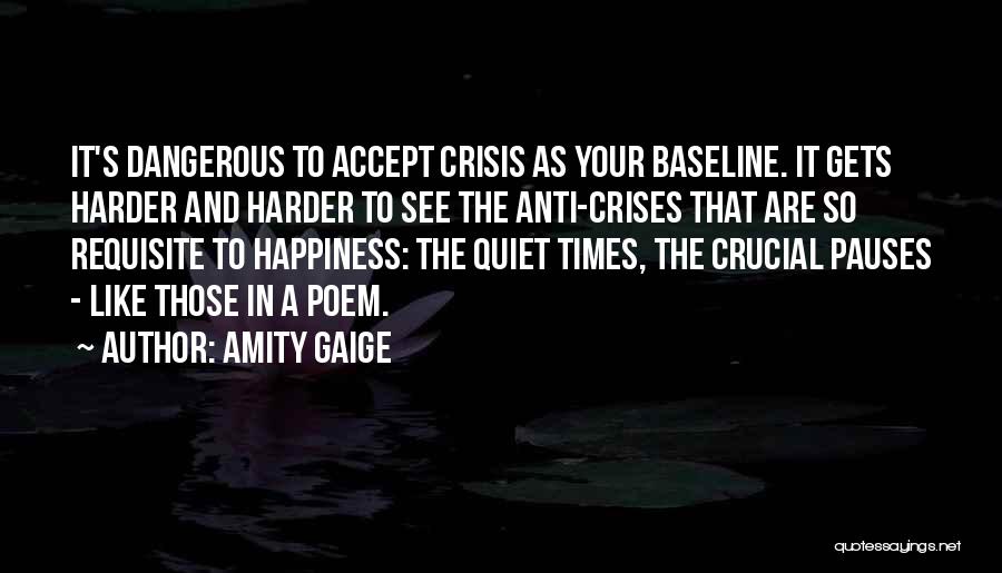 Amity Gaige Quotes 2016843