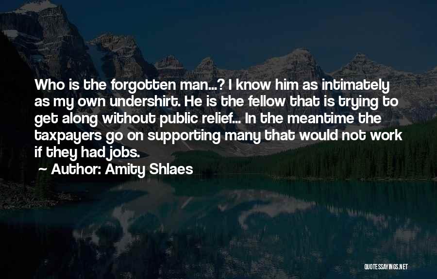 Amity Shlaes Quotes 1058760