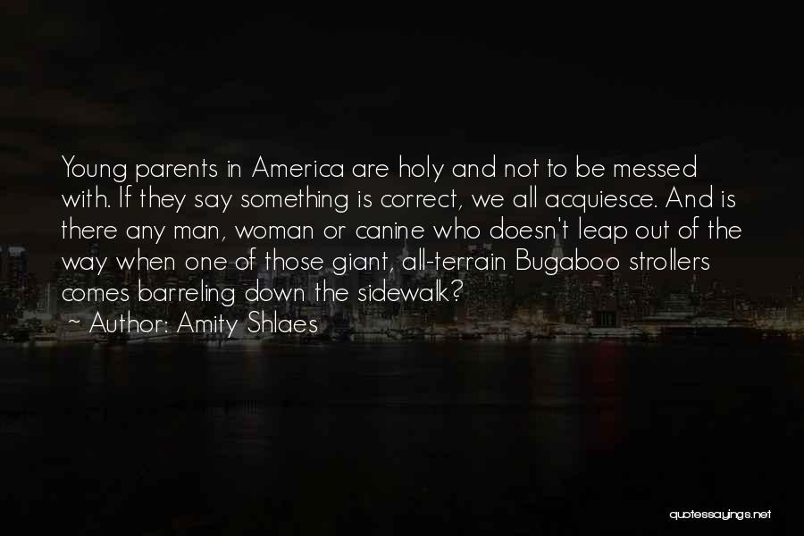 Amity Shlaes Quotes 1410682