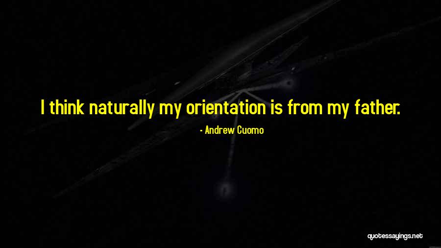 Amma Syncletica Quotes By Andrew Cuomo Amma Syncletica Quotes By Andrew Cuomo