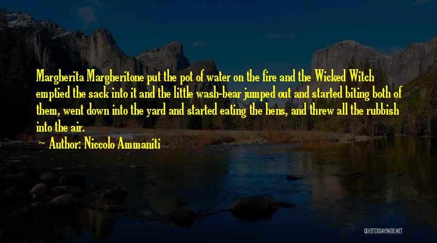 Ammaniti Quotes By Niccolo Ammaniti