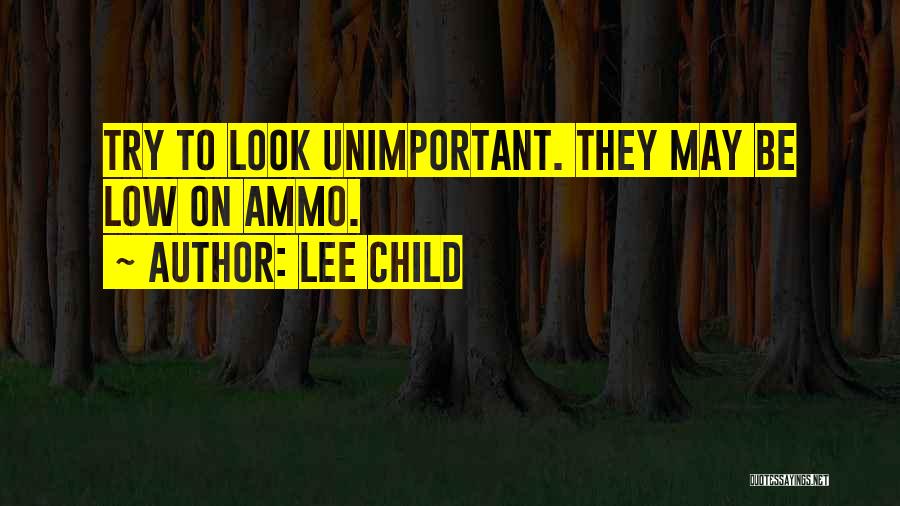 Ammo Quotes By Lee Child