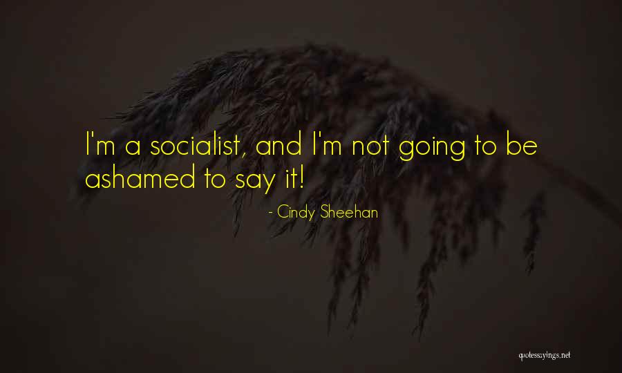 Ammoniak Quotes By Cindy Sheehan Ammoniak Quotes By Cindy Sheehan