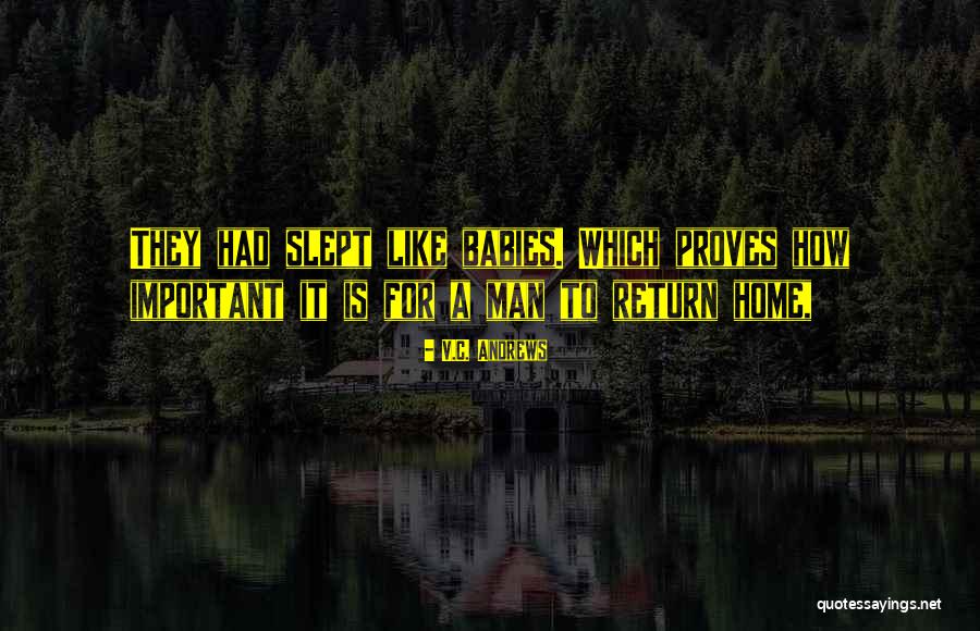 Ammunition Is Too Expensive Quotes By V.C. Andrews Ammunition Is Too Expensive Quotes By V.C. Andrews