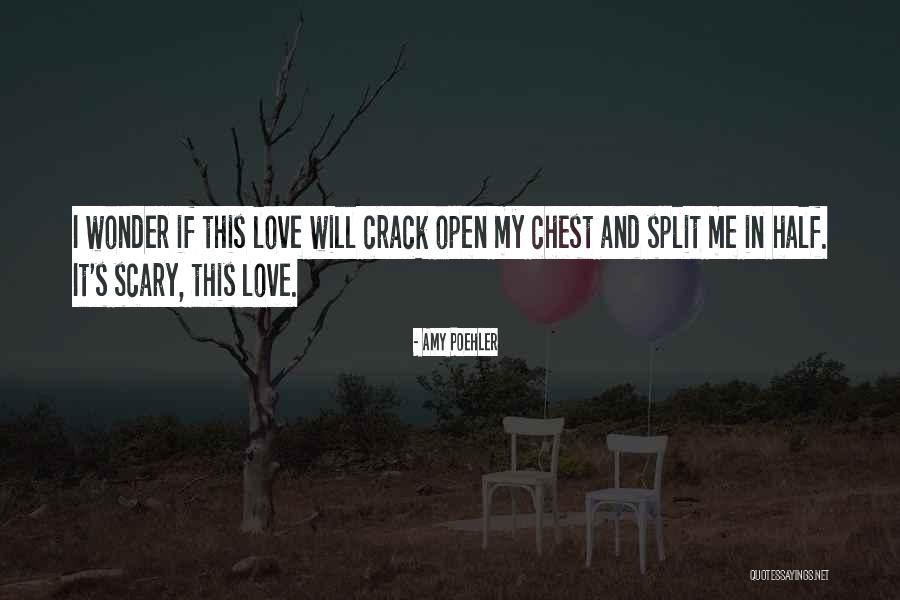 Ammus Logo Quotes By Amy Poehler Ammus Logo Quotes By Amy Poehler