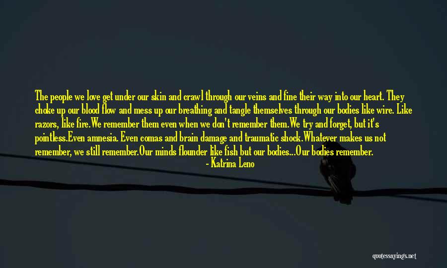 Amnesia Love Quotes By Katrina Leno Amnesia Love Quotes By Katrina Leno