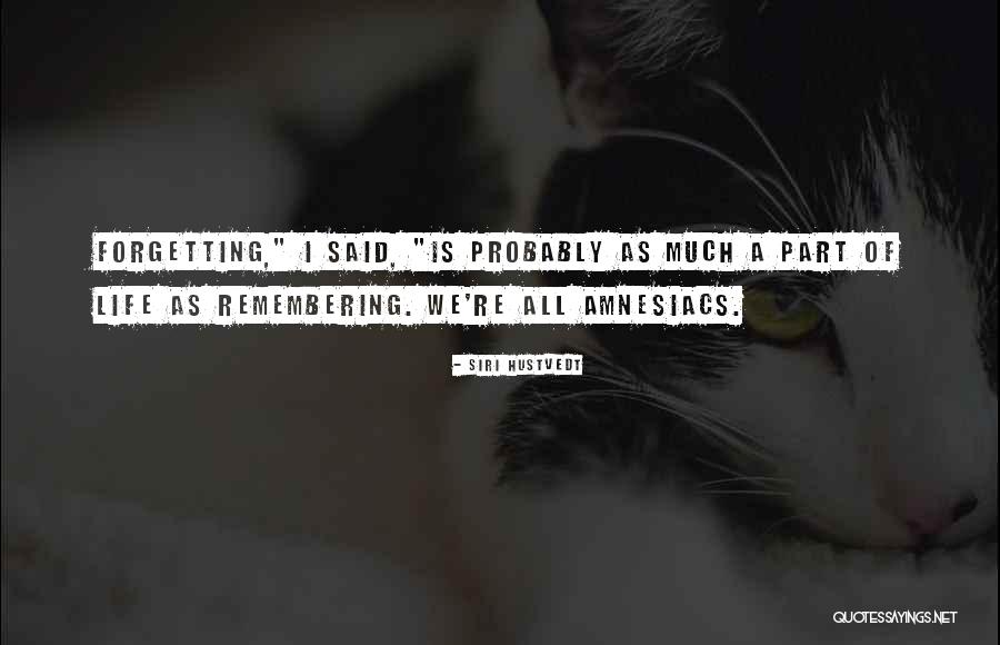 Amnesiacs Quotes By Siri Hustvedt Amnesiacs Quotes By Siri Hustvedt