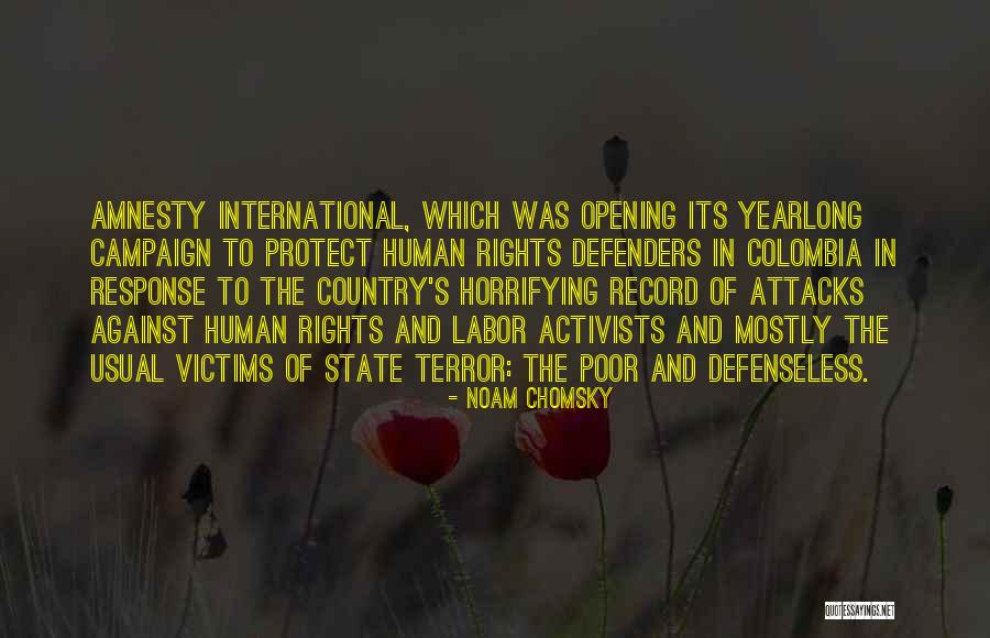 Amnesty International Human Rights Quotes By Noam Chomsky