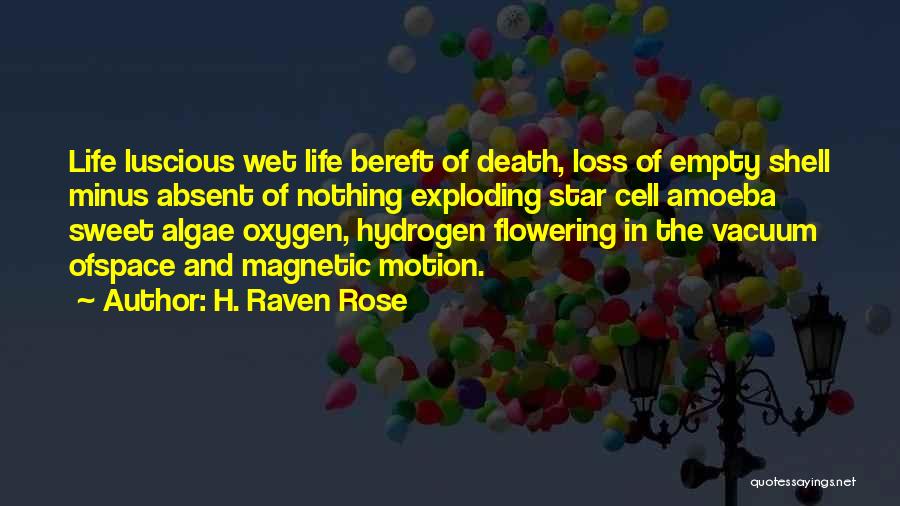 Amoeba Quotes By H. Raven Rose