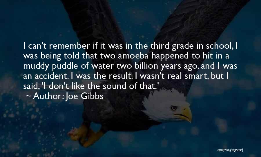 Amoeba Quotes By Joe Gibbs