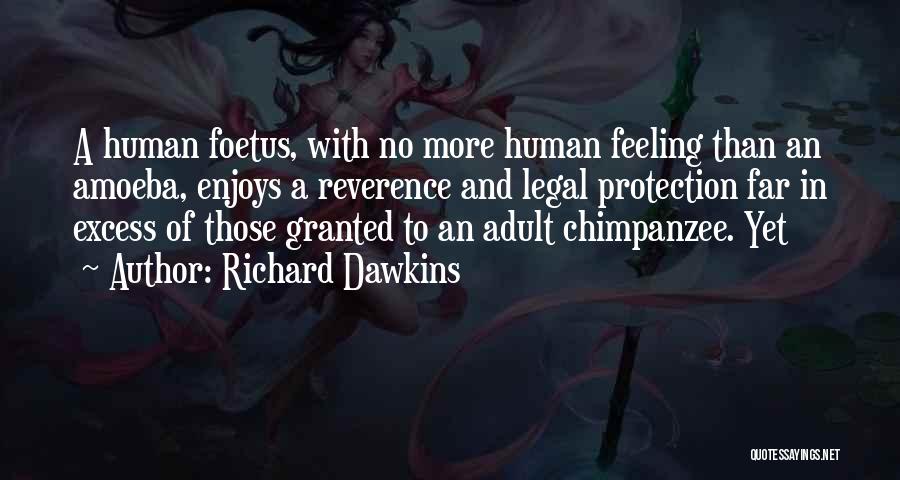 Amoeba Quotes By Richard Dawkins