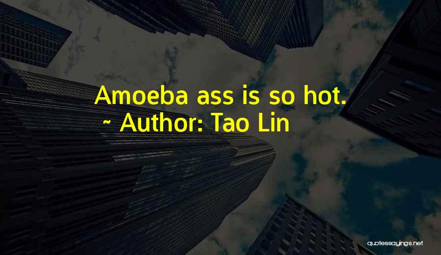 Amoeba Quotes By Tao Lin