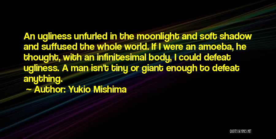 Amoeba Quotes By Yukio Mishima