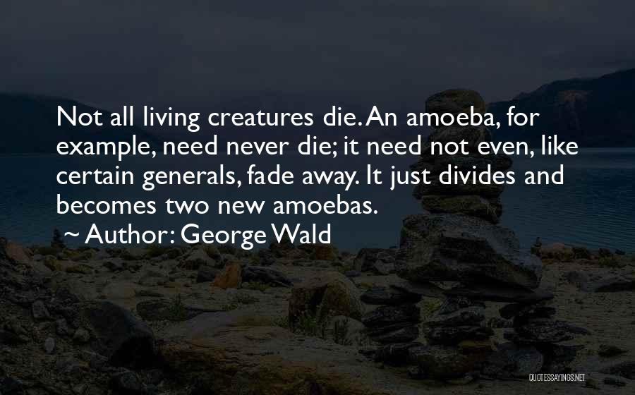 Amoebas Quotes By George Wald