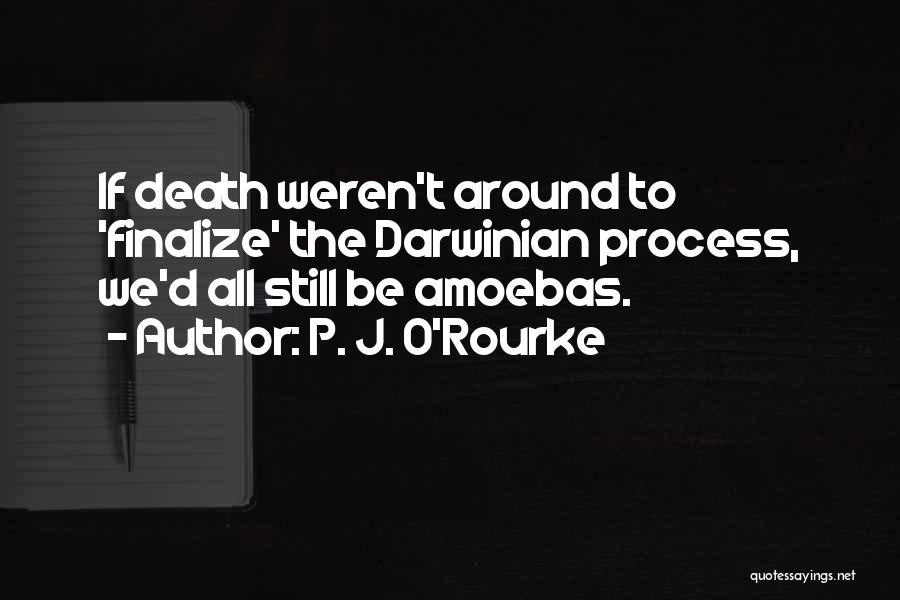 Amoebas Quotes By P. J. O'Rourke