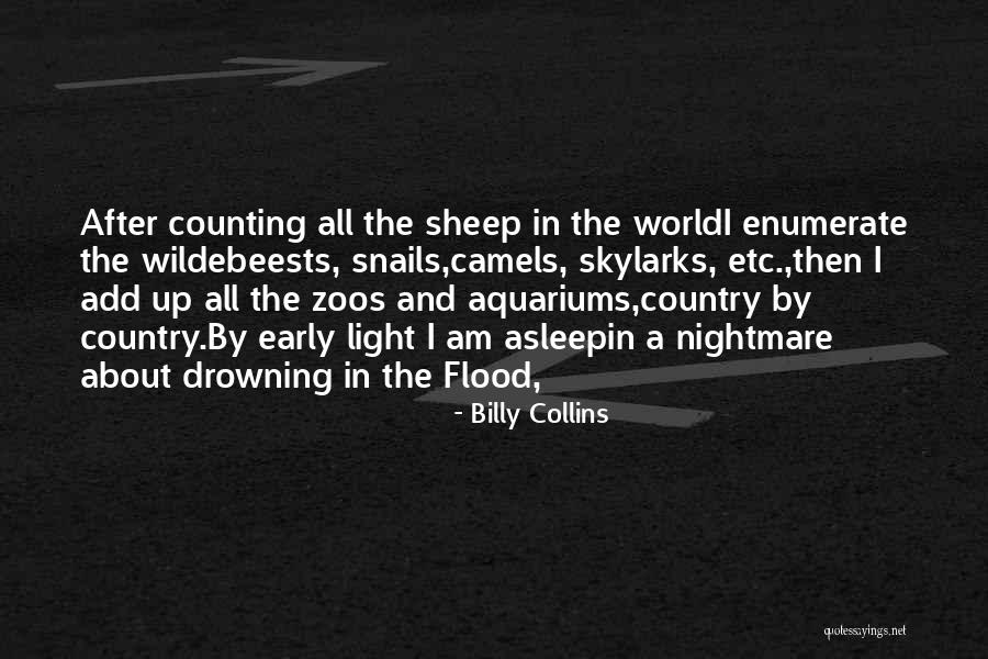 Amok Hocus Pocus Quotes By Billy Collins Amok Hocus Pocus Quotes By Billy Collins
