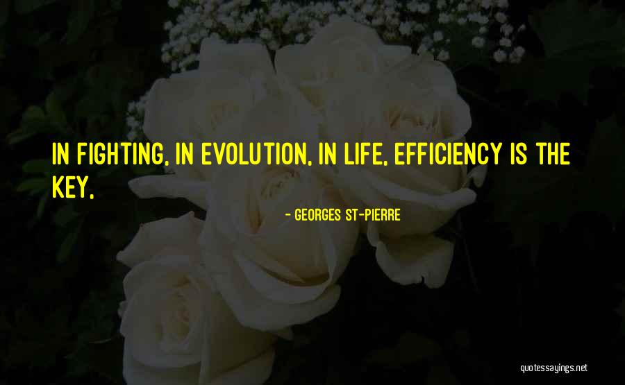 Amoliorate Quotes By Georges St-Pierre Amoliorate Quotes By Georges St-Pierre
