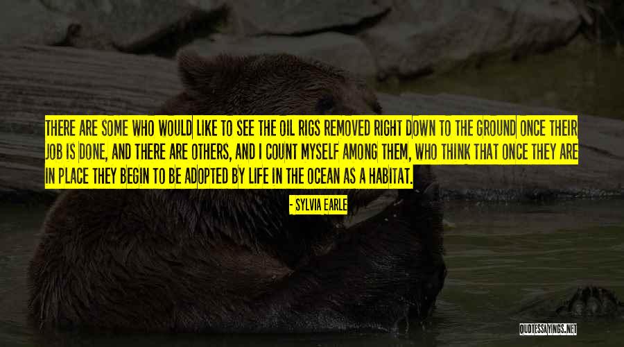 Among Others Quotes By Sylvia Earle Among Others Quotes By Sylvia Earle