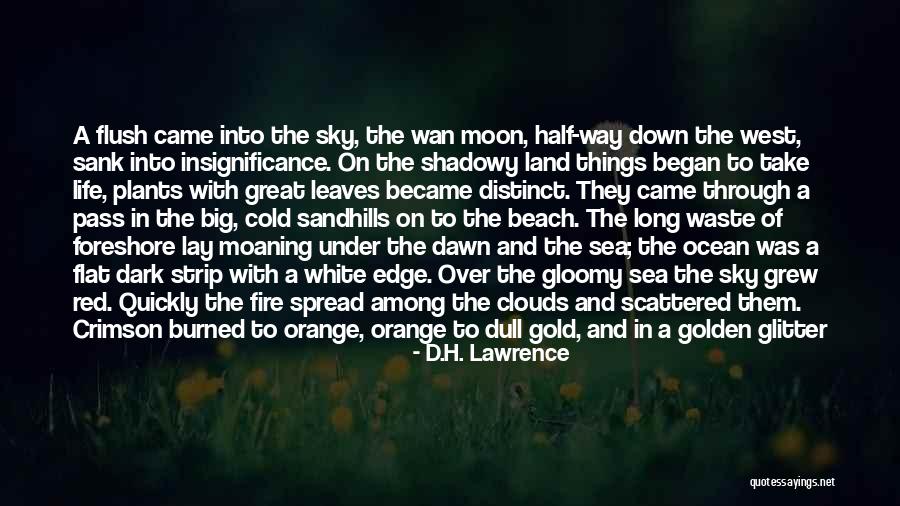 Among The Clouds Quotes By D.H. Lawrence