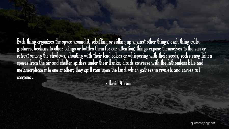 Among The Clouds Quotes By David Abram