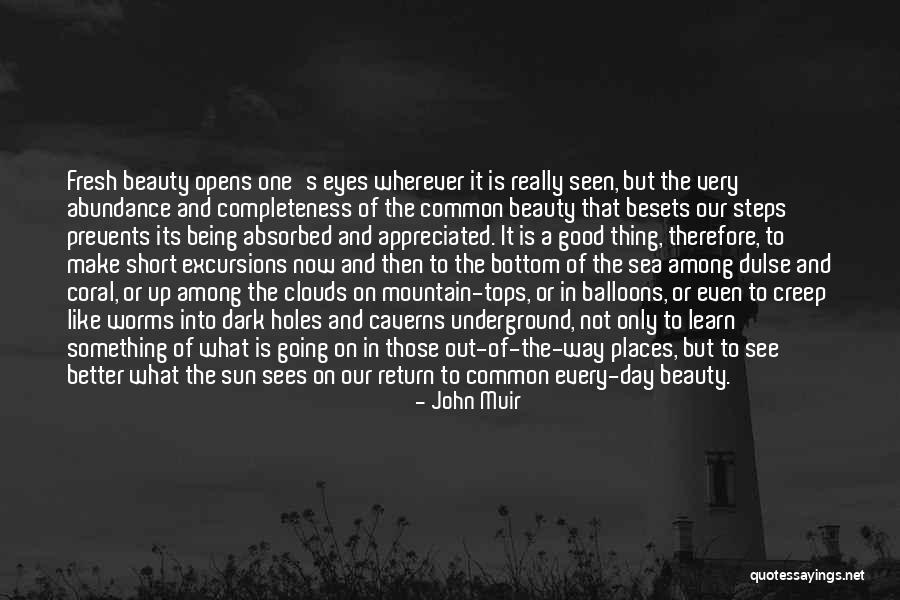 Among The Clouds Quotes By John Muir