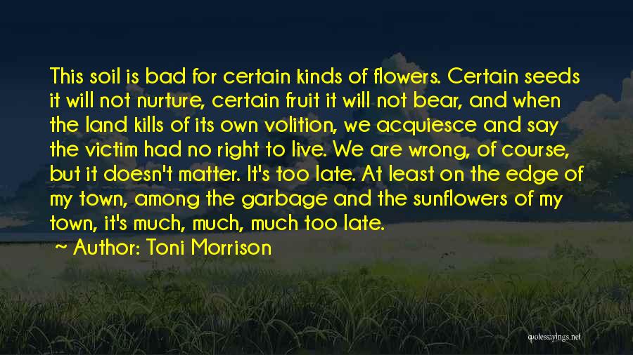 Among The Flowers Quotes By Toni Morrison