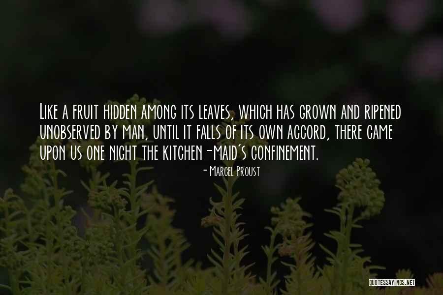 Among The Hidden Quotes By Marcel Proust