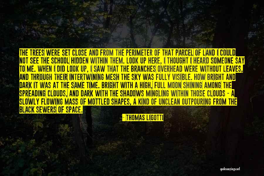 Among The Hidden Quotes By Thomas Ligotti Among The Hidden Quotes By Thomas Ligotti
